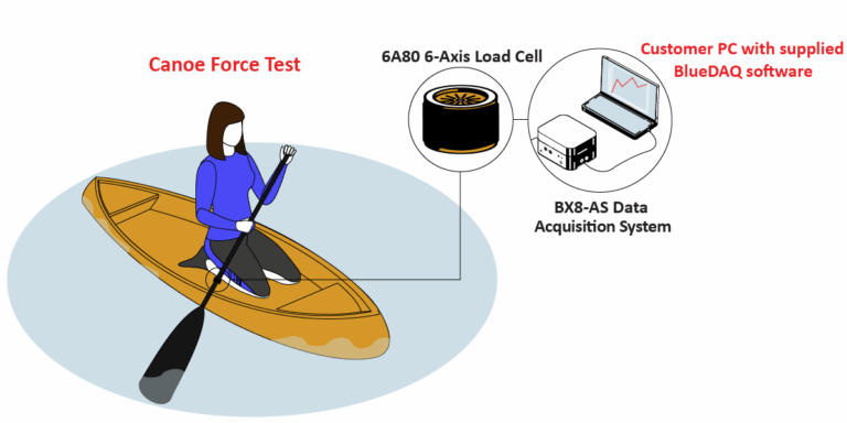 CanoePaddleForce Graphic