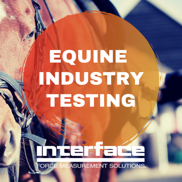 EQUINE 1