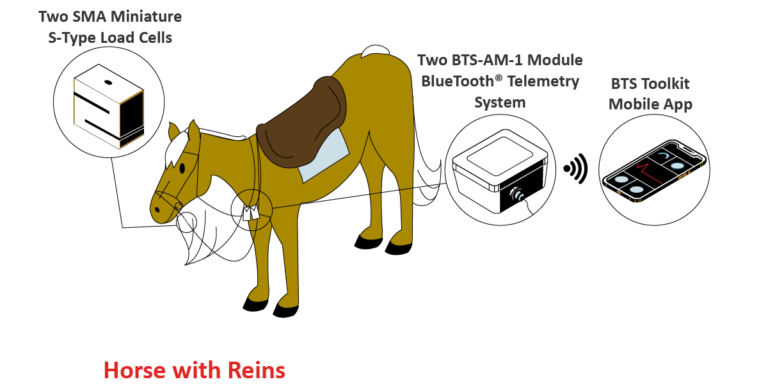 EquineBTSgraphic Color