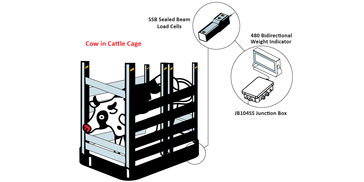 LivestockWeighingSystem_Graphic
